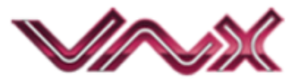 0 VNX Logo.png