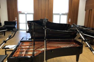 IMG_1618.jpg